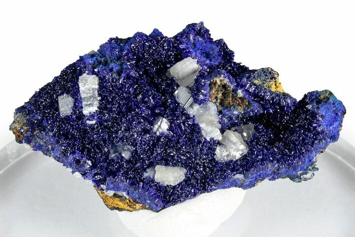 Cerussite Crystals on Sparkling Azurite - Congo #348523